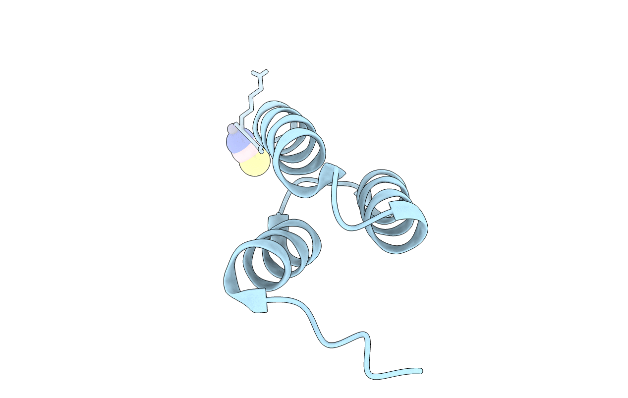 4NPE image