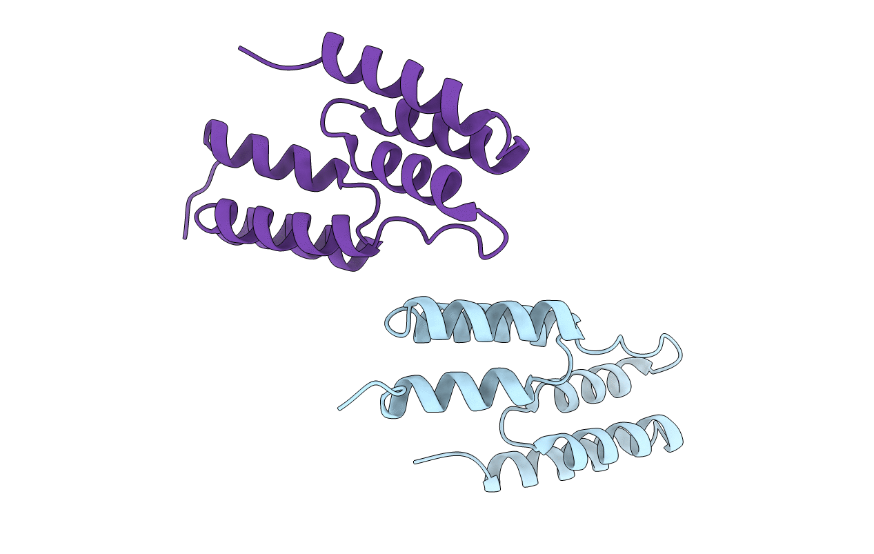 4NPF image