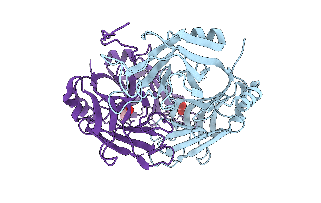 4NPJ image