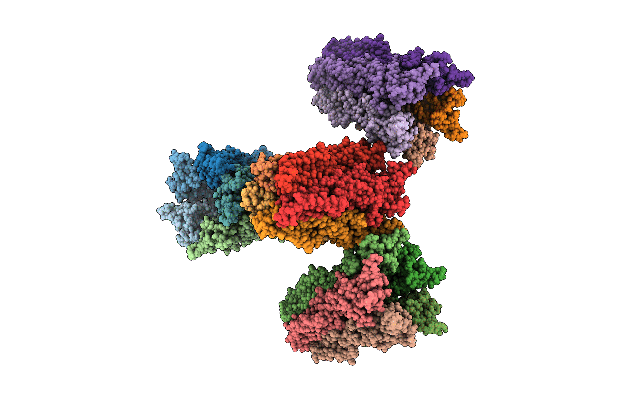 4NPQ image