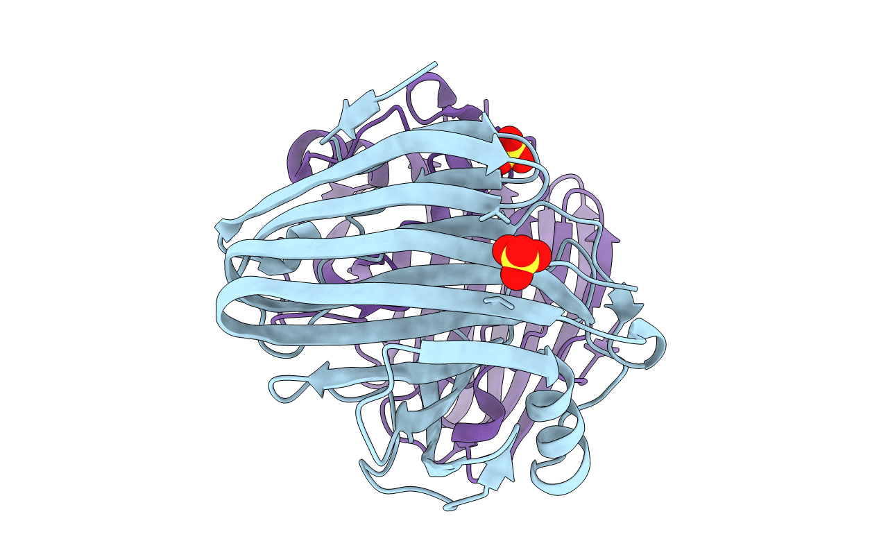 4NPR image