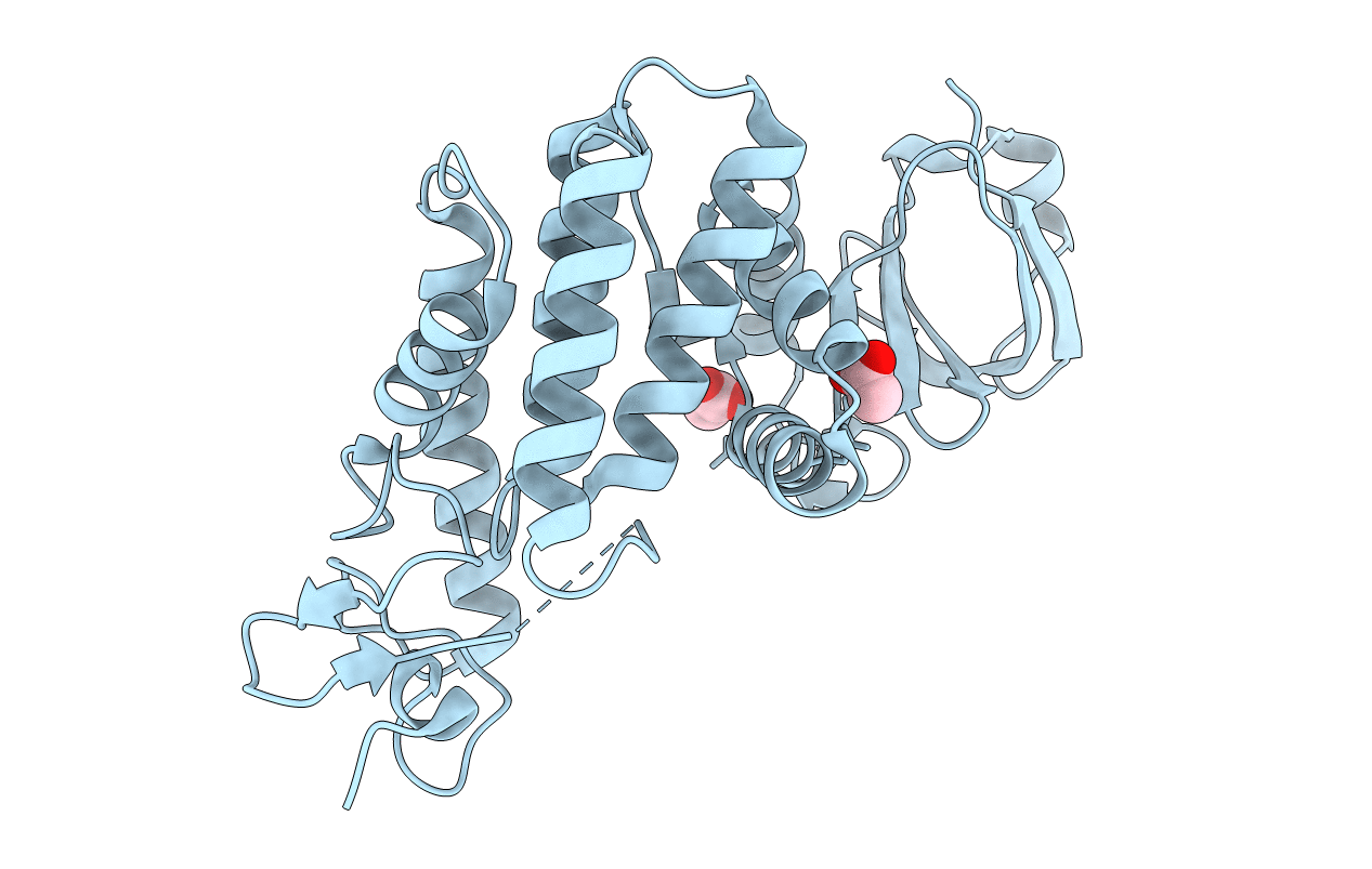 4NPS image