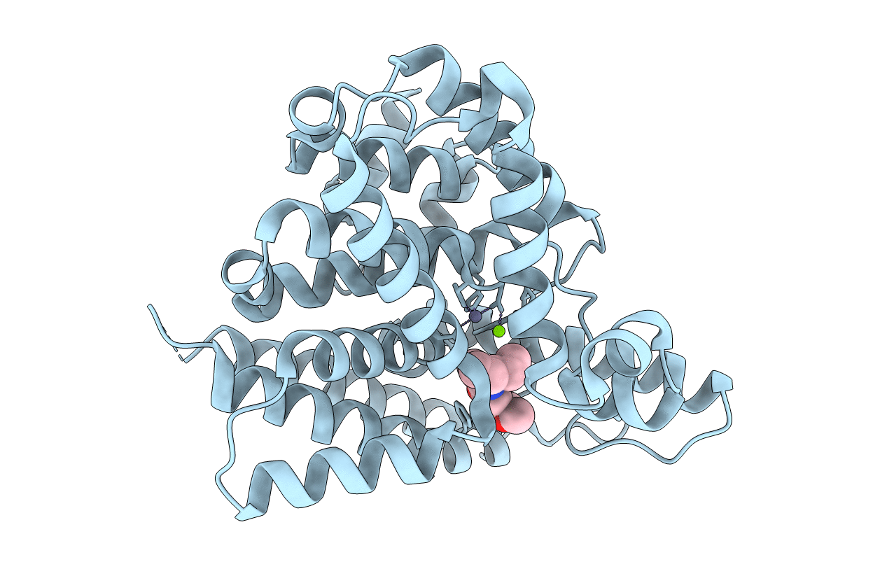 4NPV image