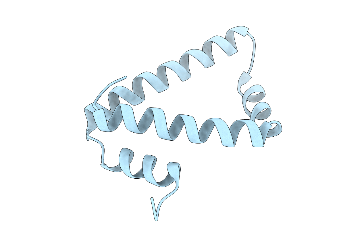 4NPX image
