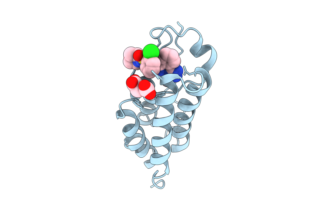 4NQM image