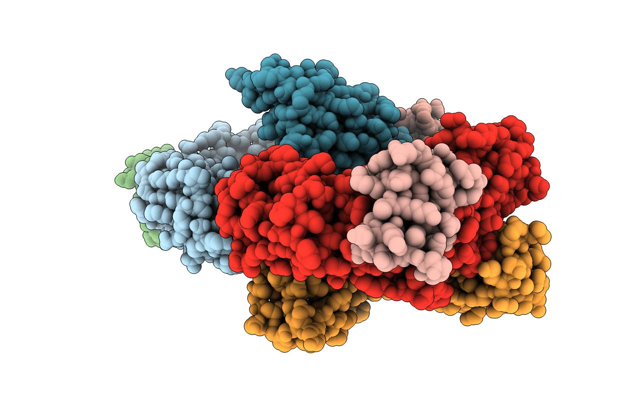 4NQS image