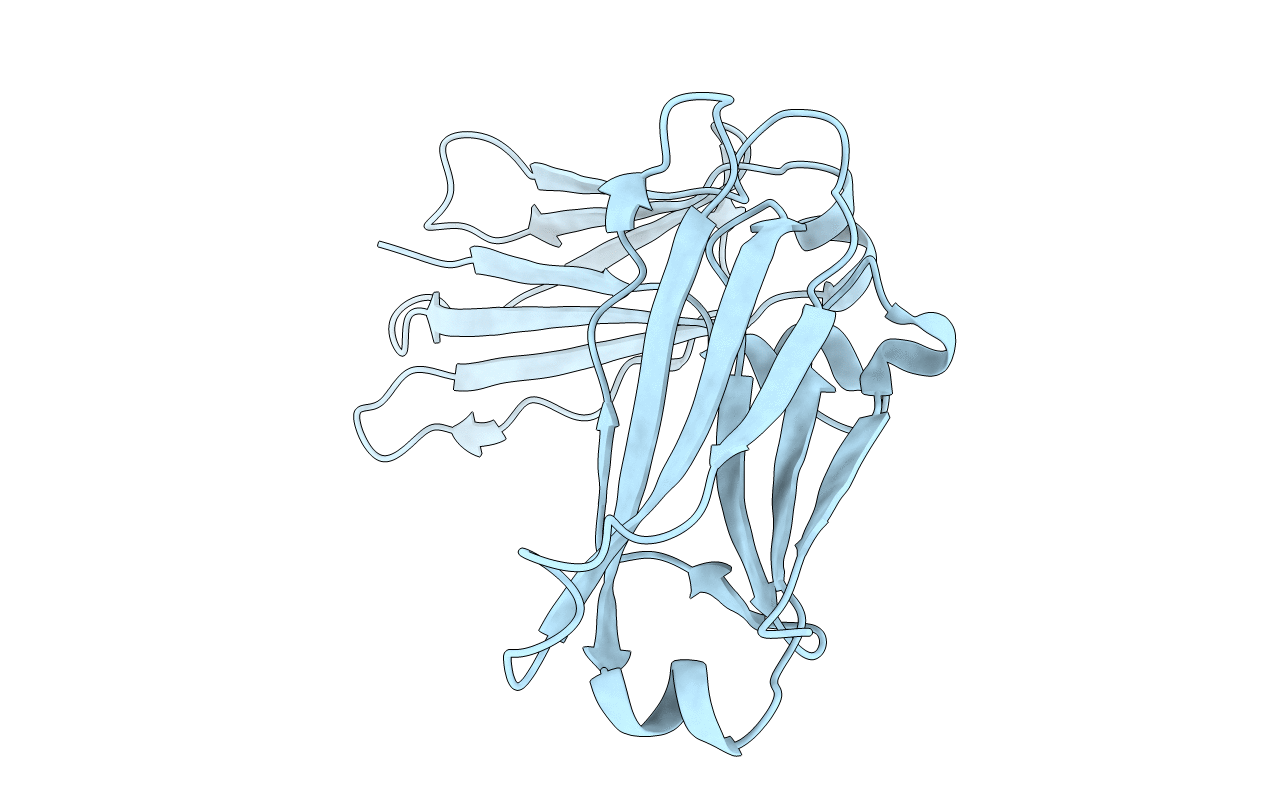 4NQT image