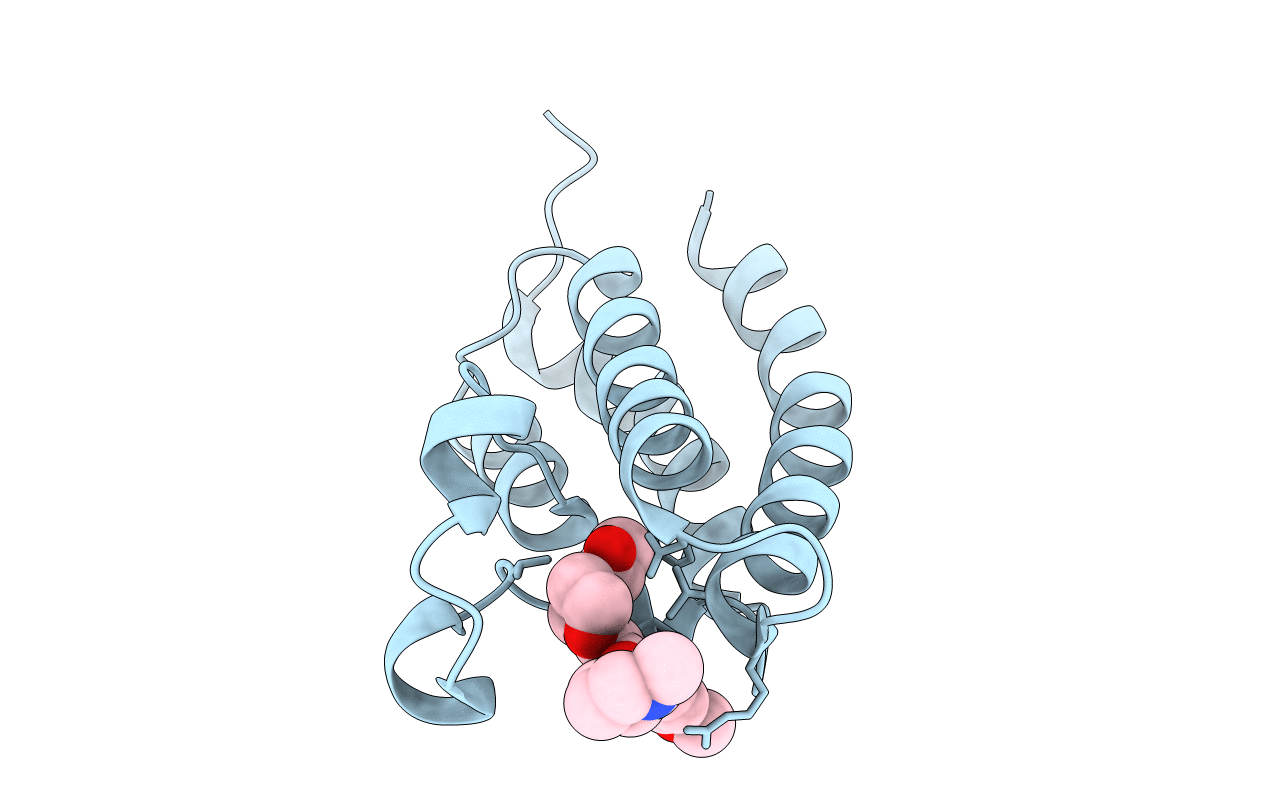 4NR6 image