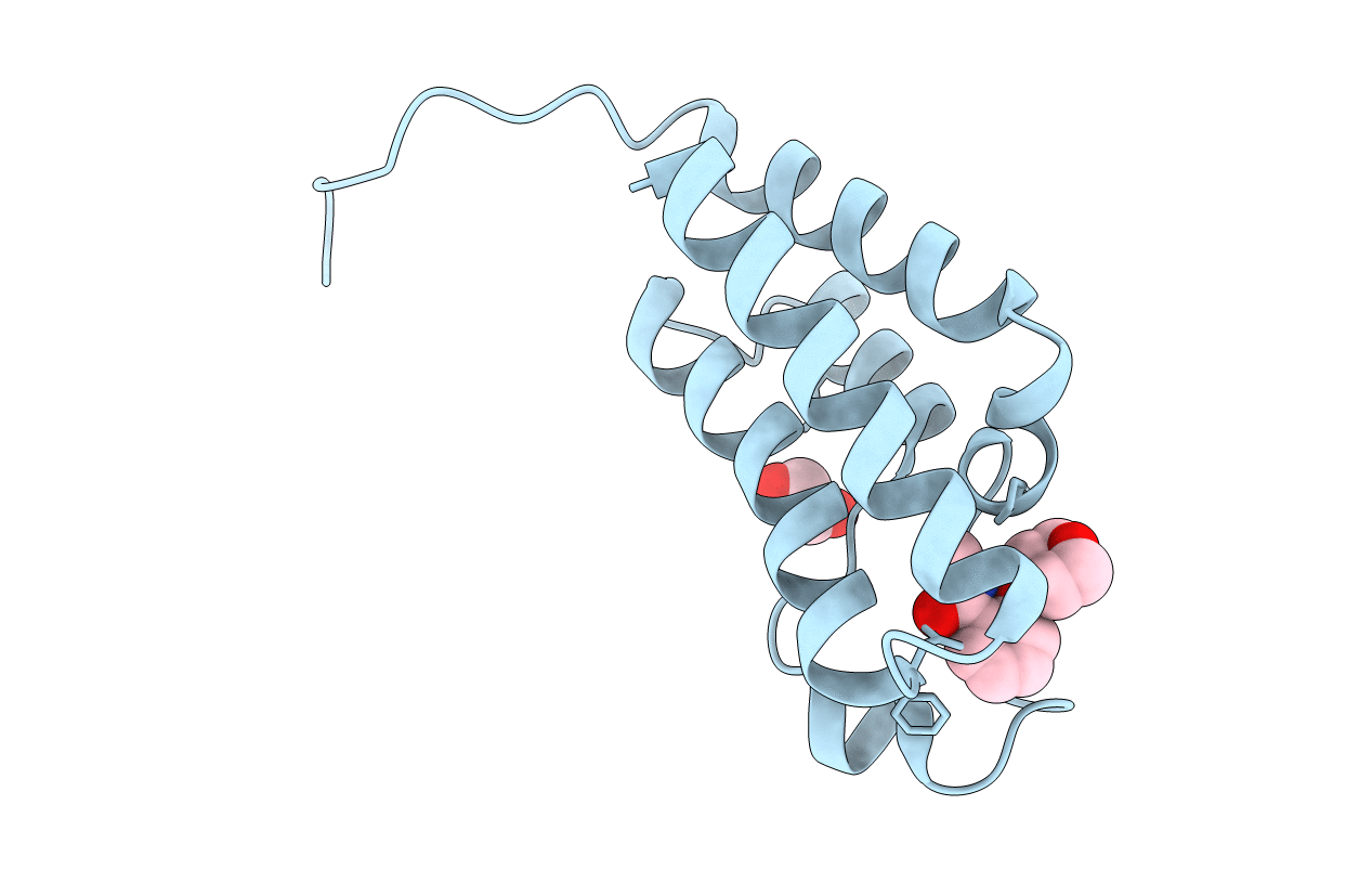 4NRB image