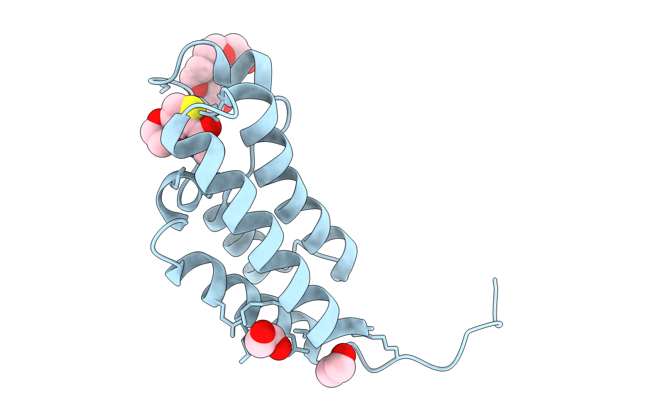 4NRC image