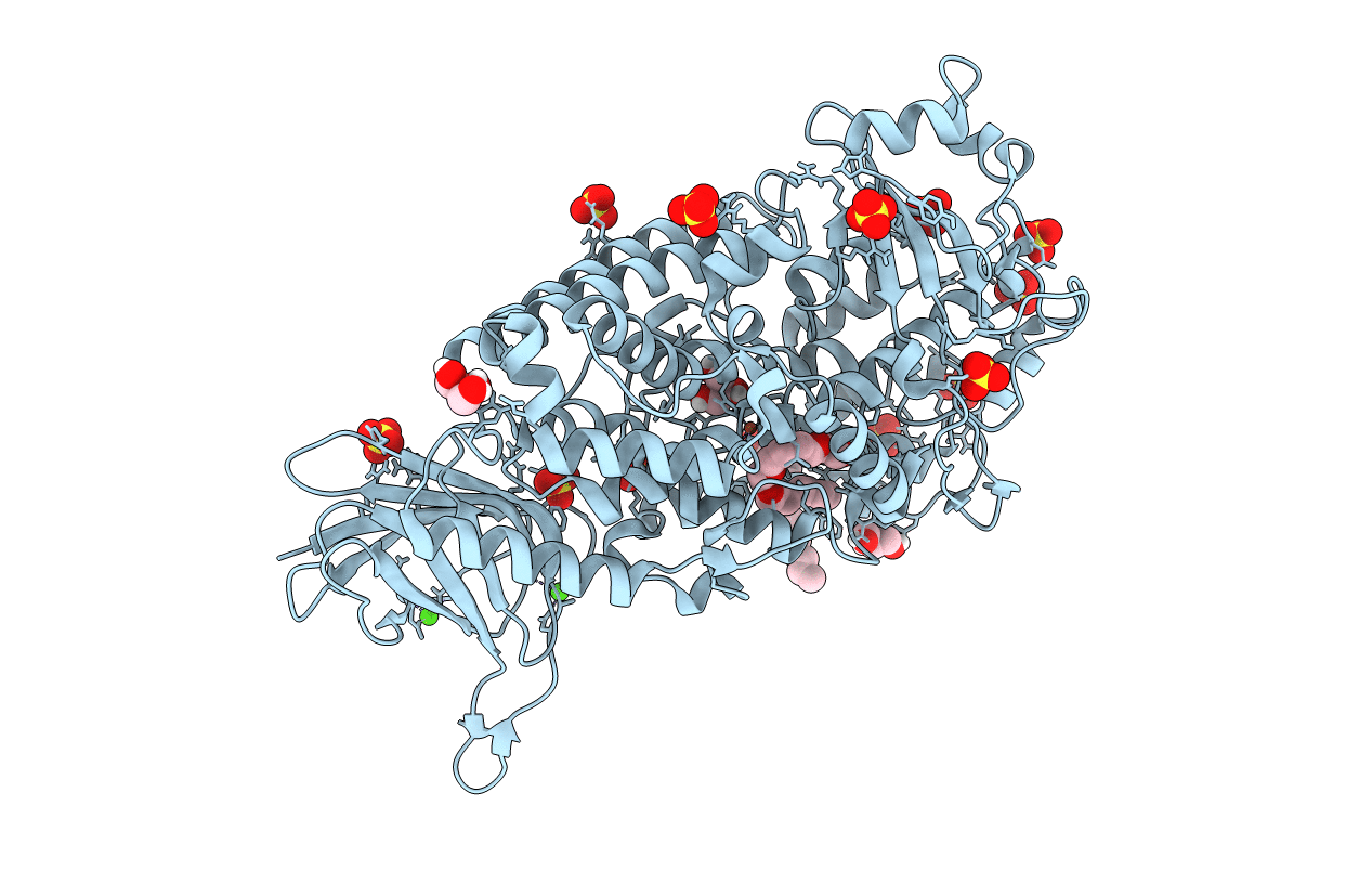 4NRE image