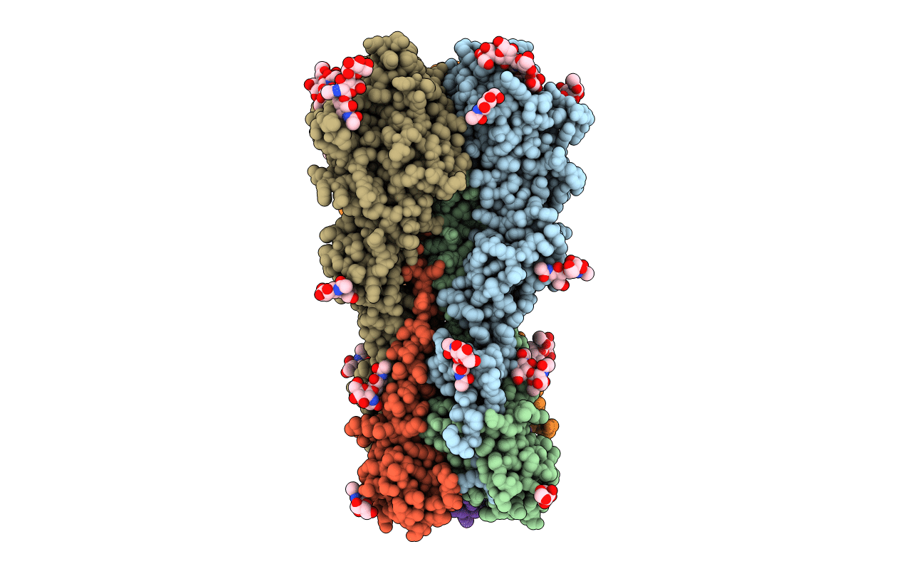 4NRL image
