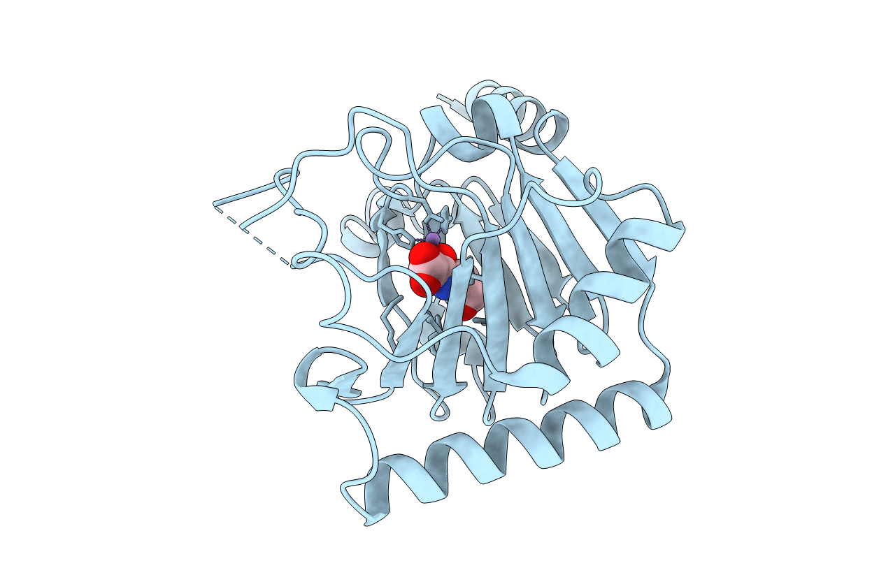 4NRP image