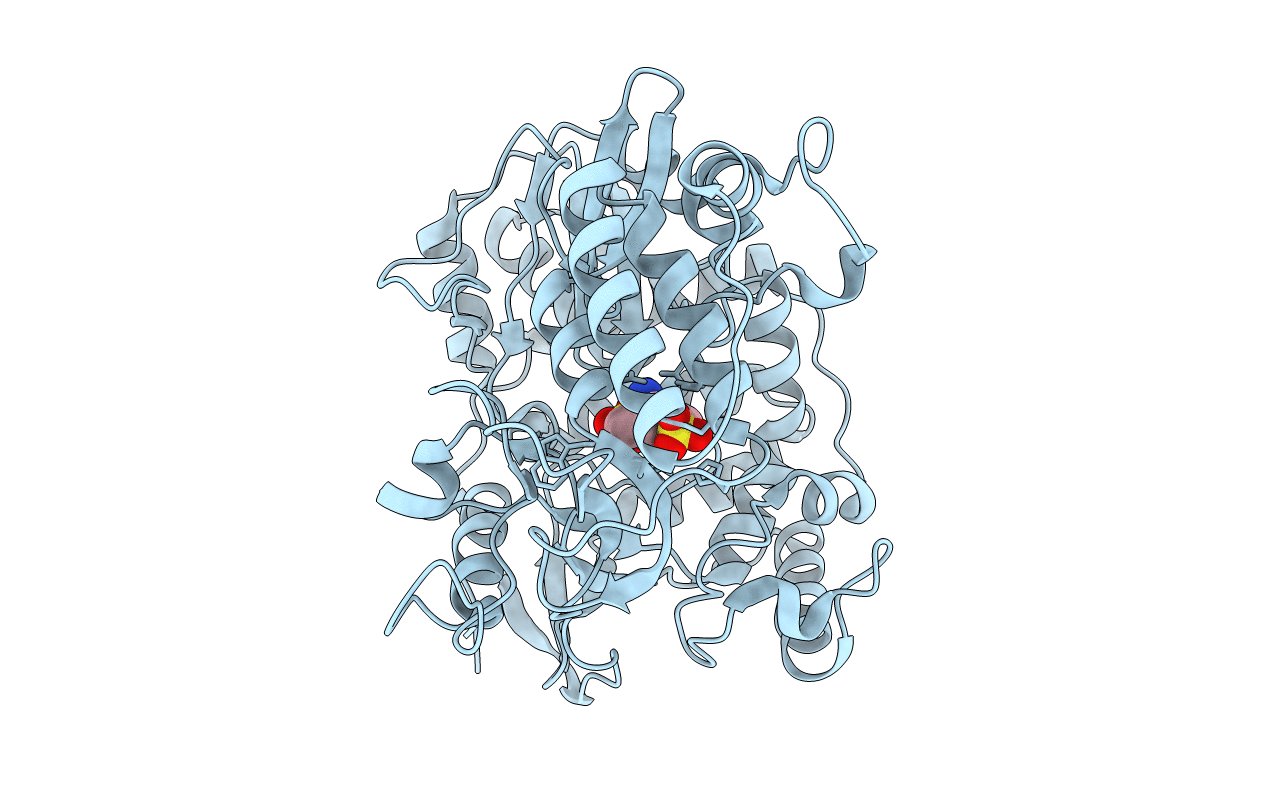 4NRT image