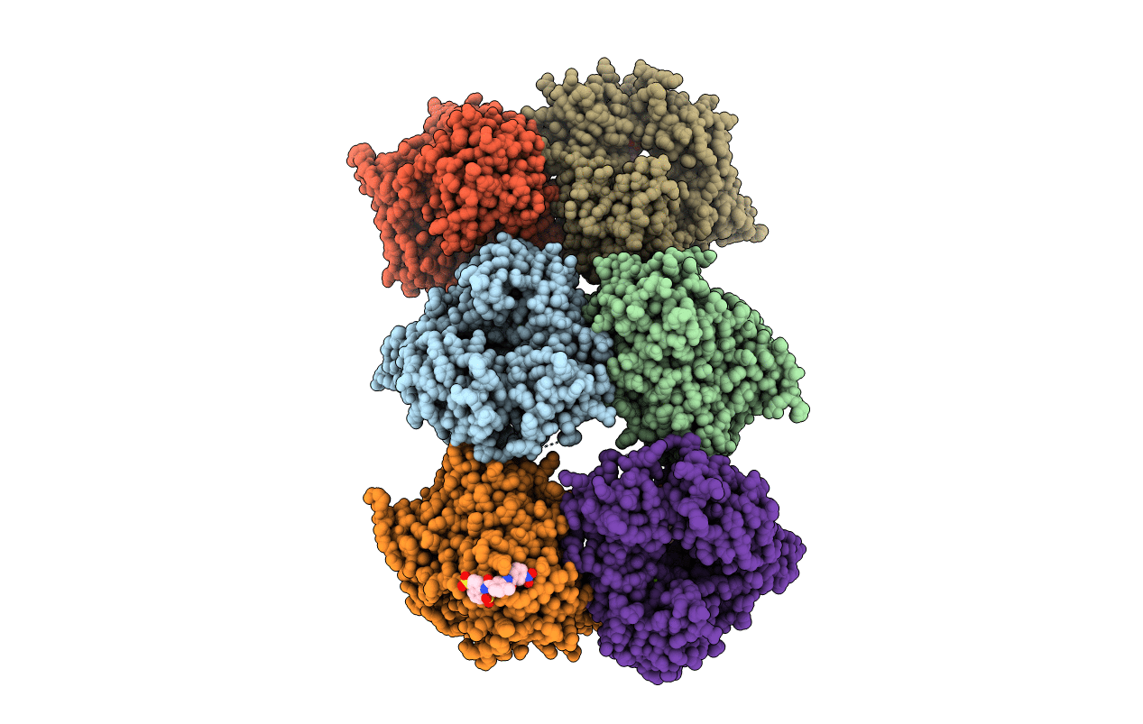 4NRU image