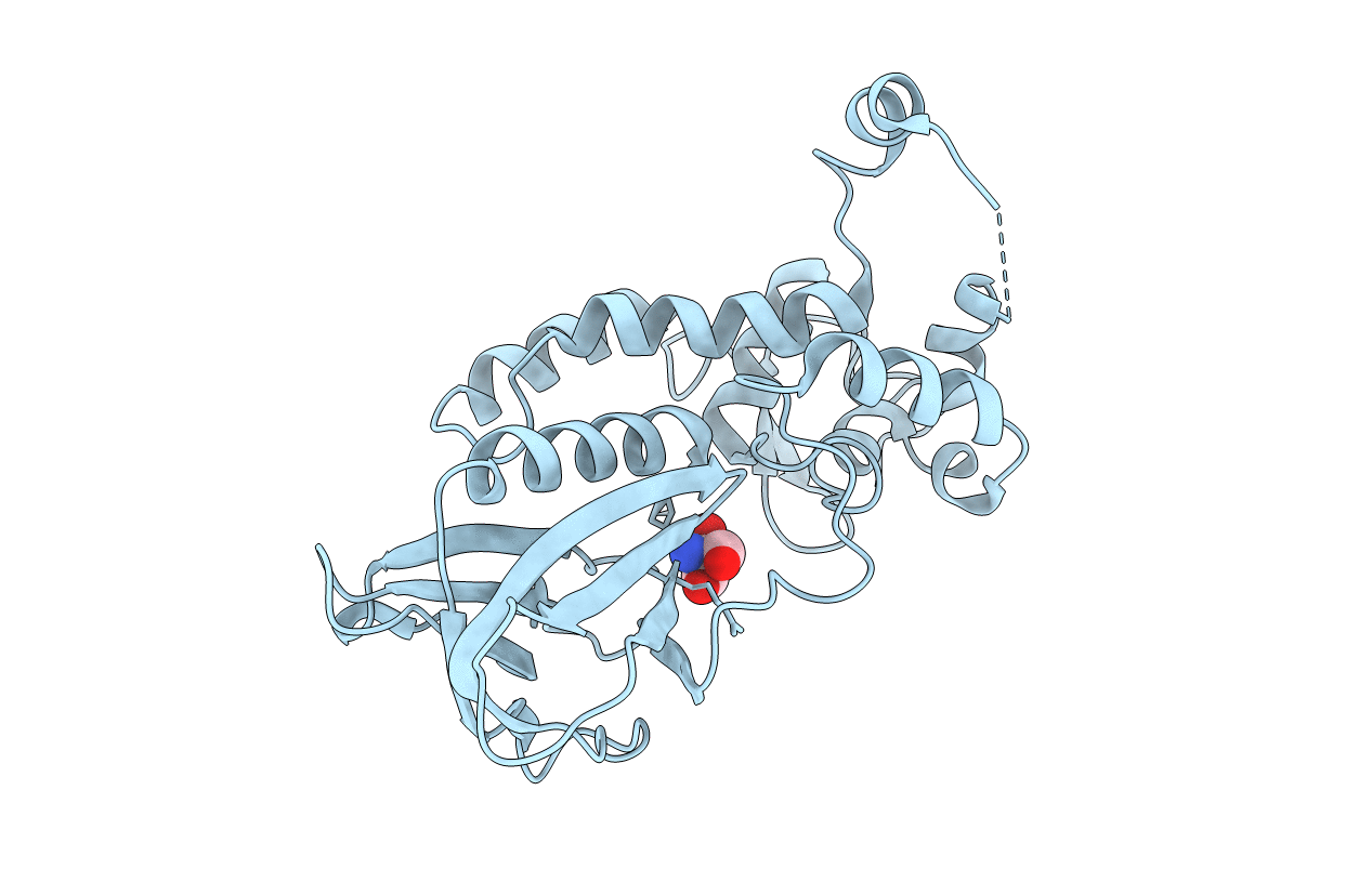 4NRV image