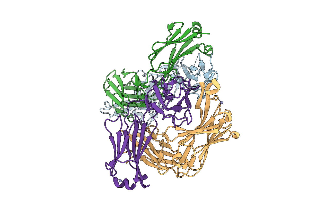 4NRZ image