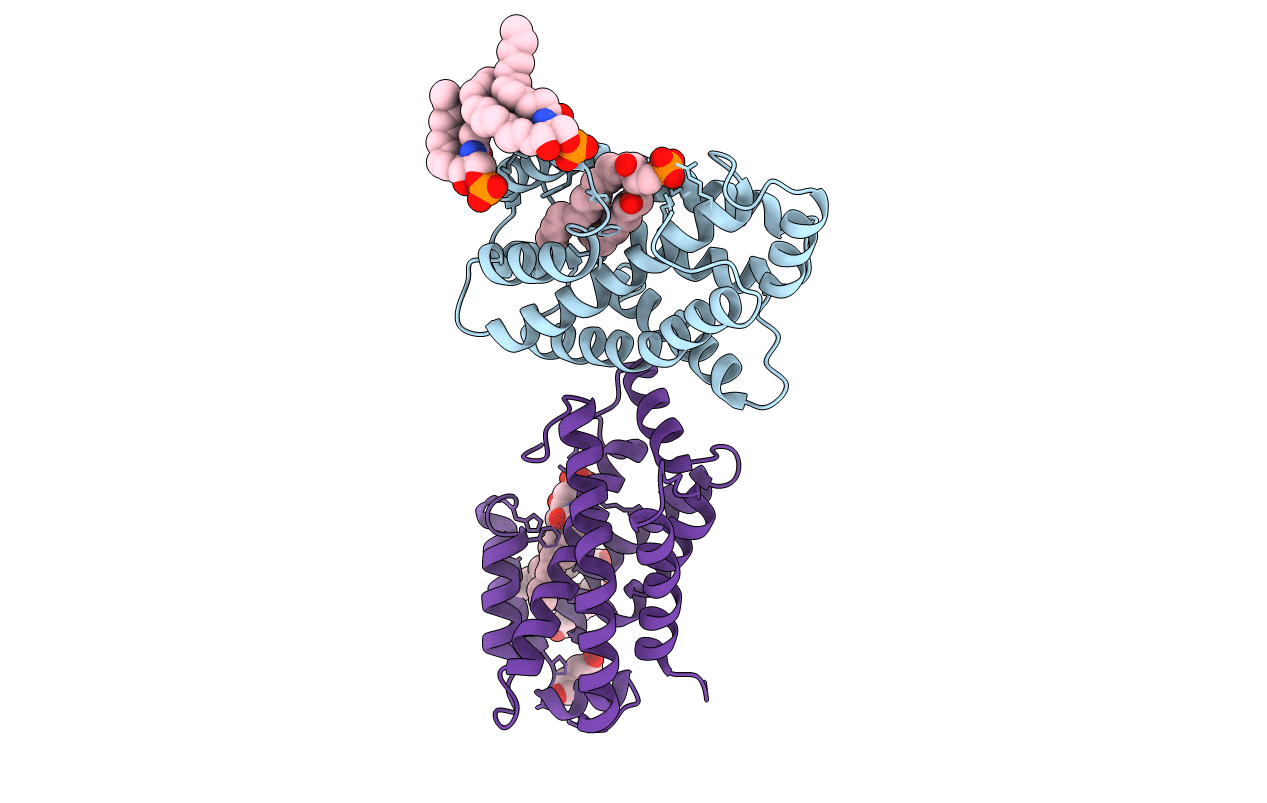 4NTI image