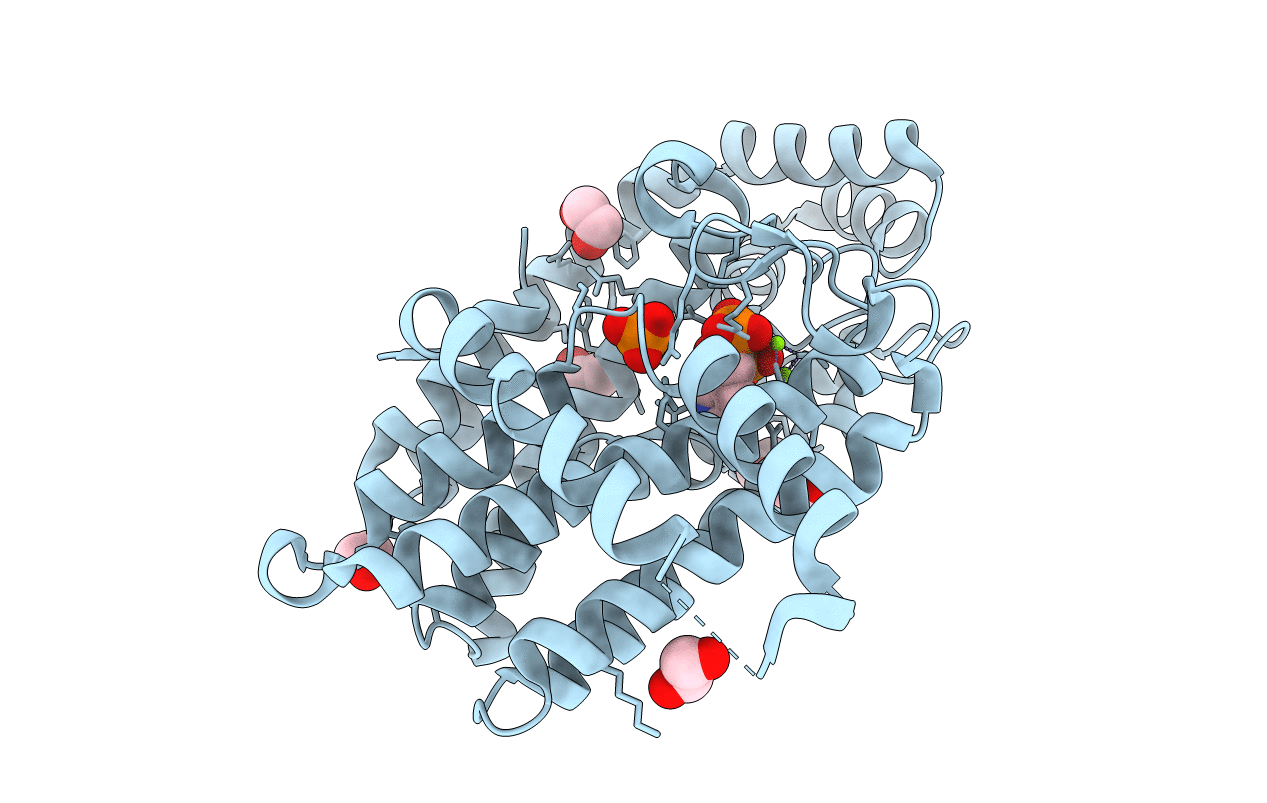 4NUA image