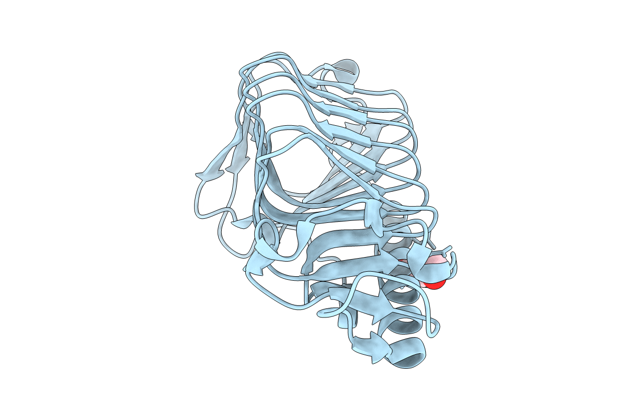 4NUH image