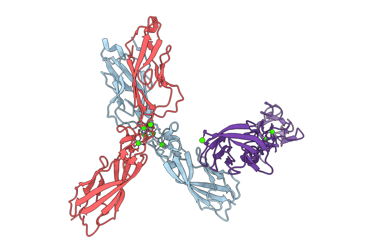 4NUP image