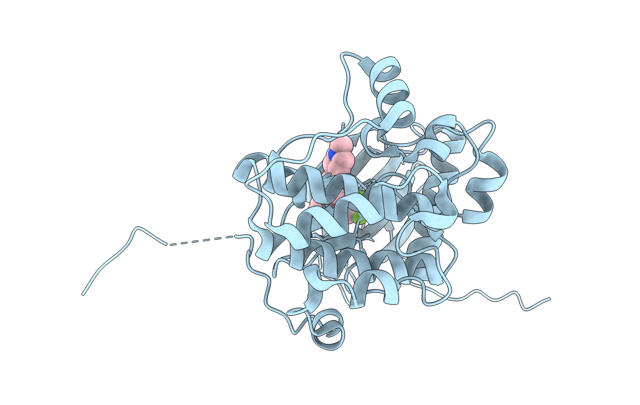 4NUS image