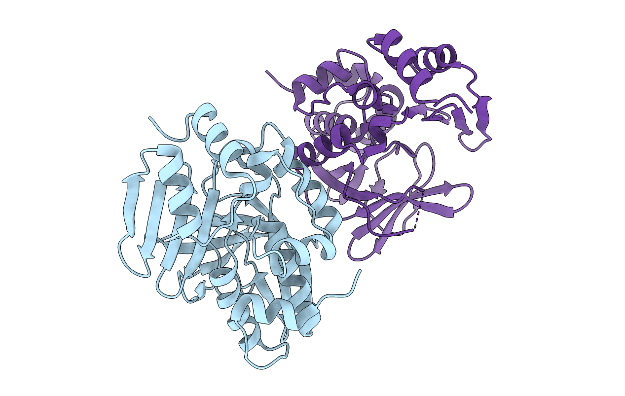 4NV8 image