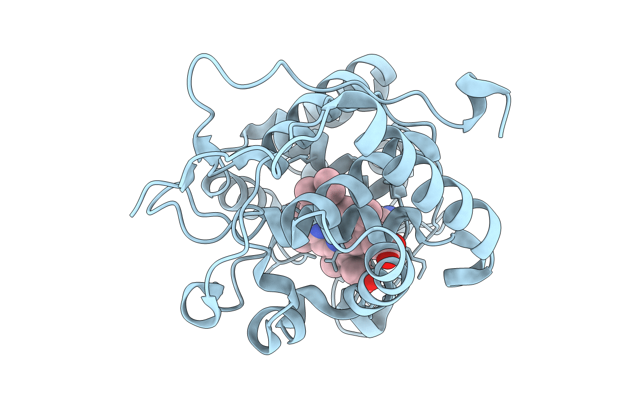 4NVC image
