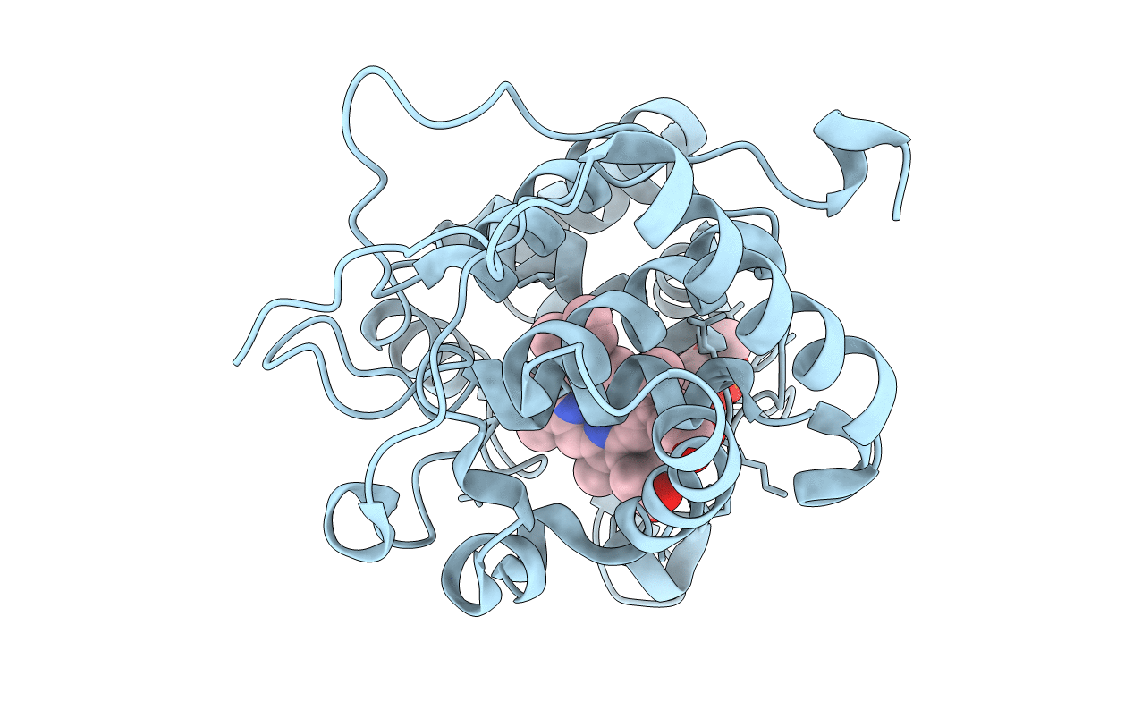 4NVJ image