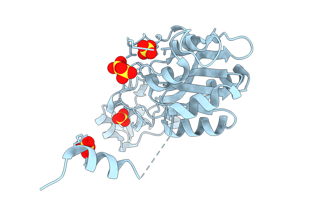 4NWB image