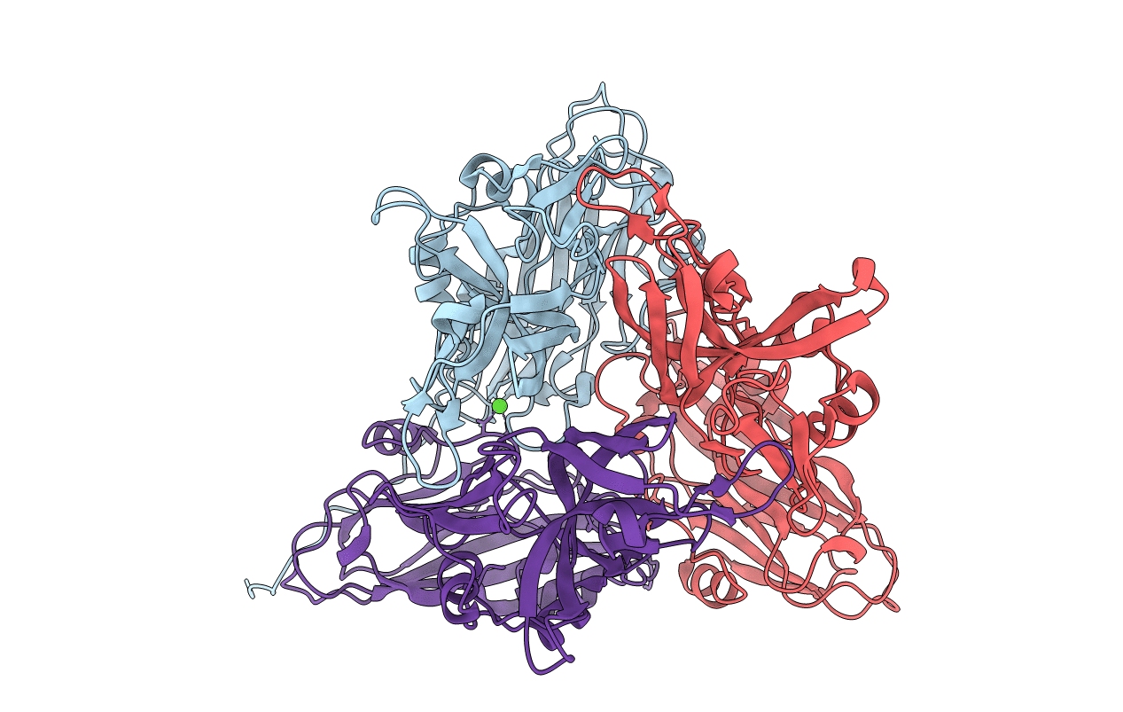 4NWV image