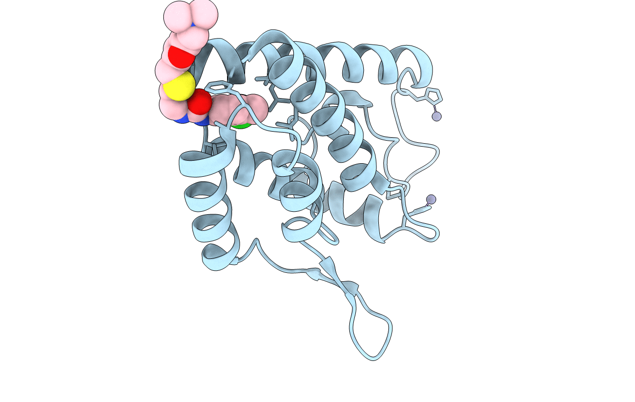4NX4 image