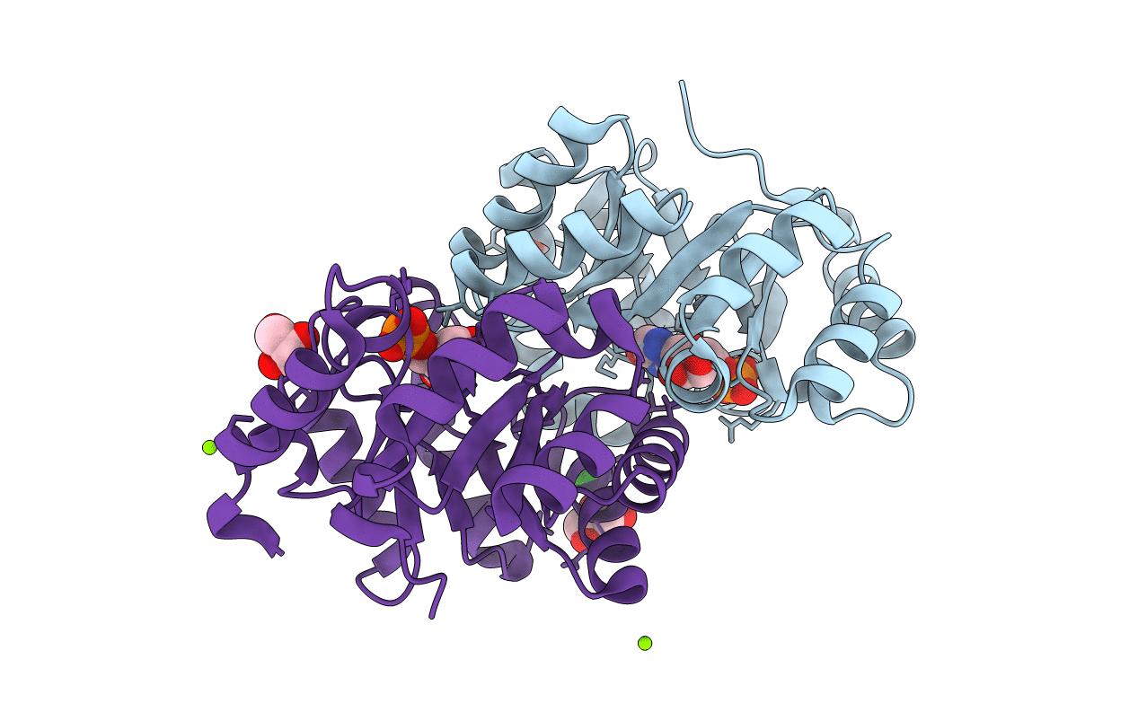 4NX5 image