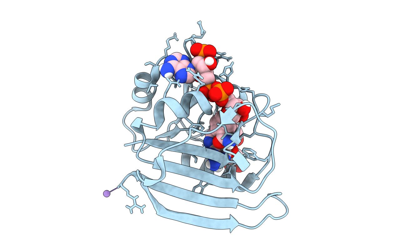4NX7 image