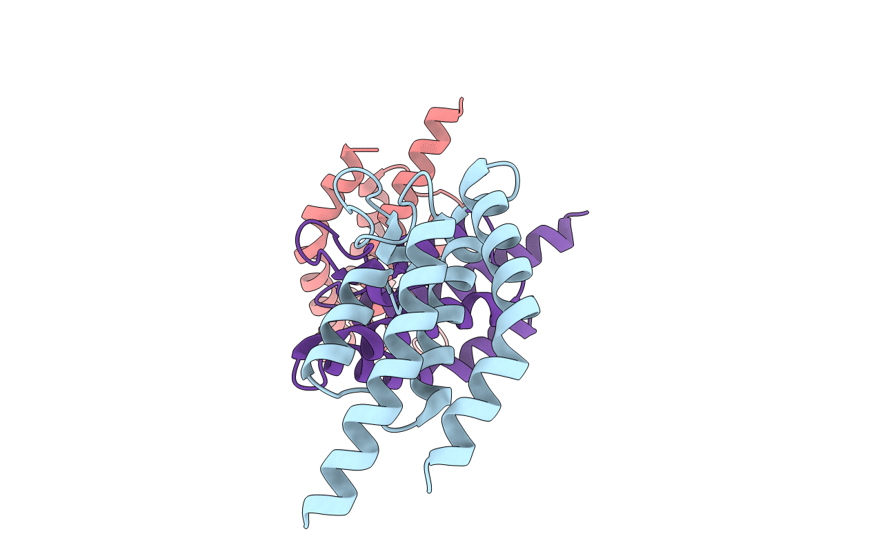 4NXJ image