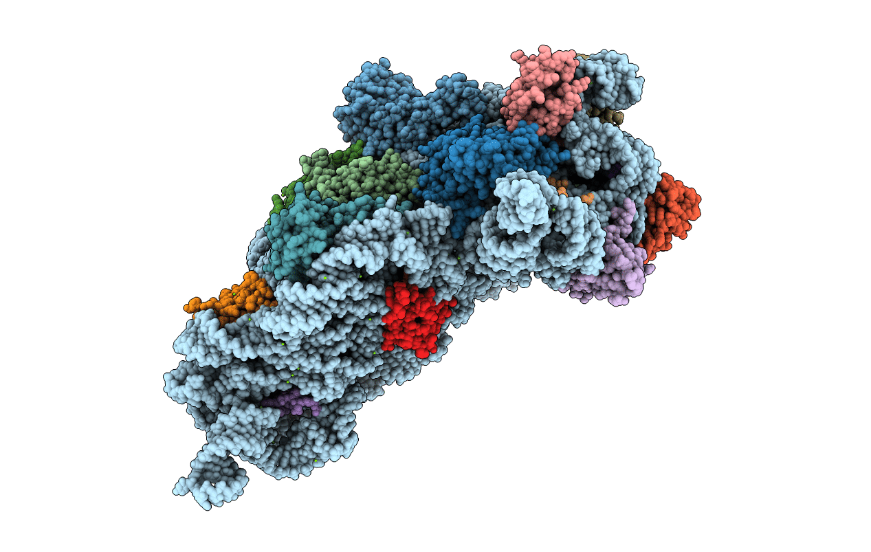 4NXN image