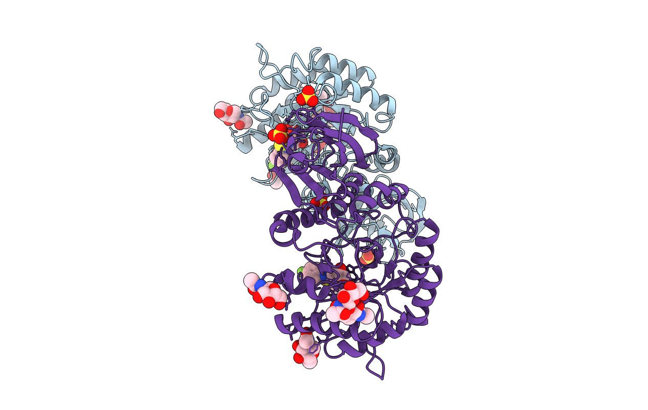 4NXS image