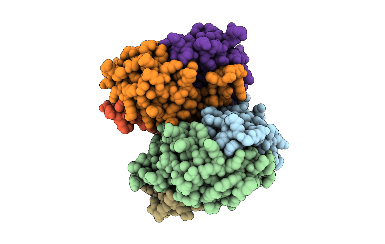 4NYP image