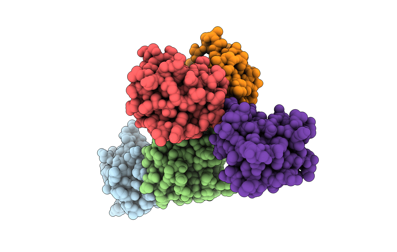 4O1I image