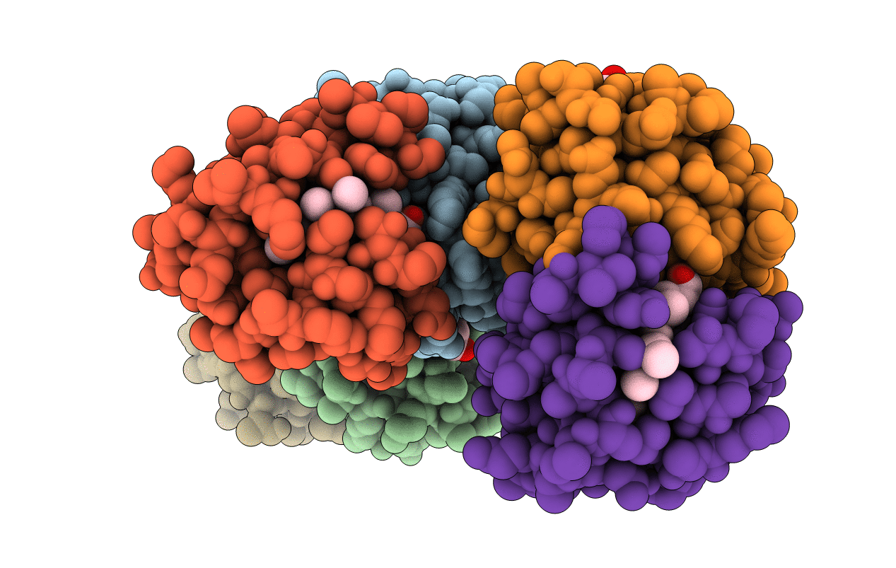4O1W image