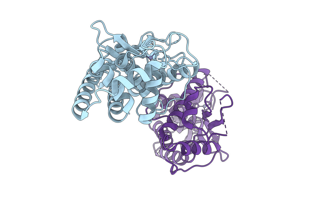 4O2I image