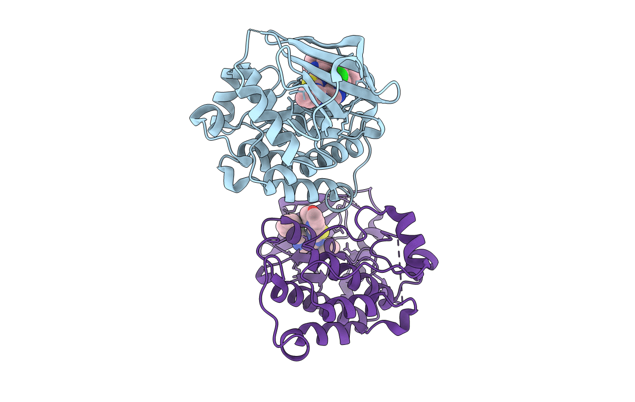 4O2P image