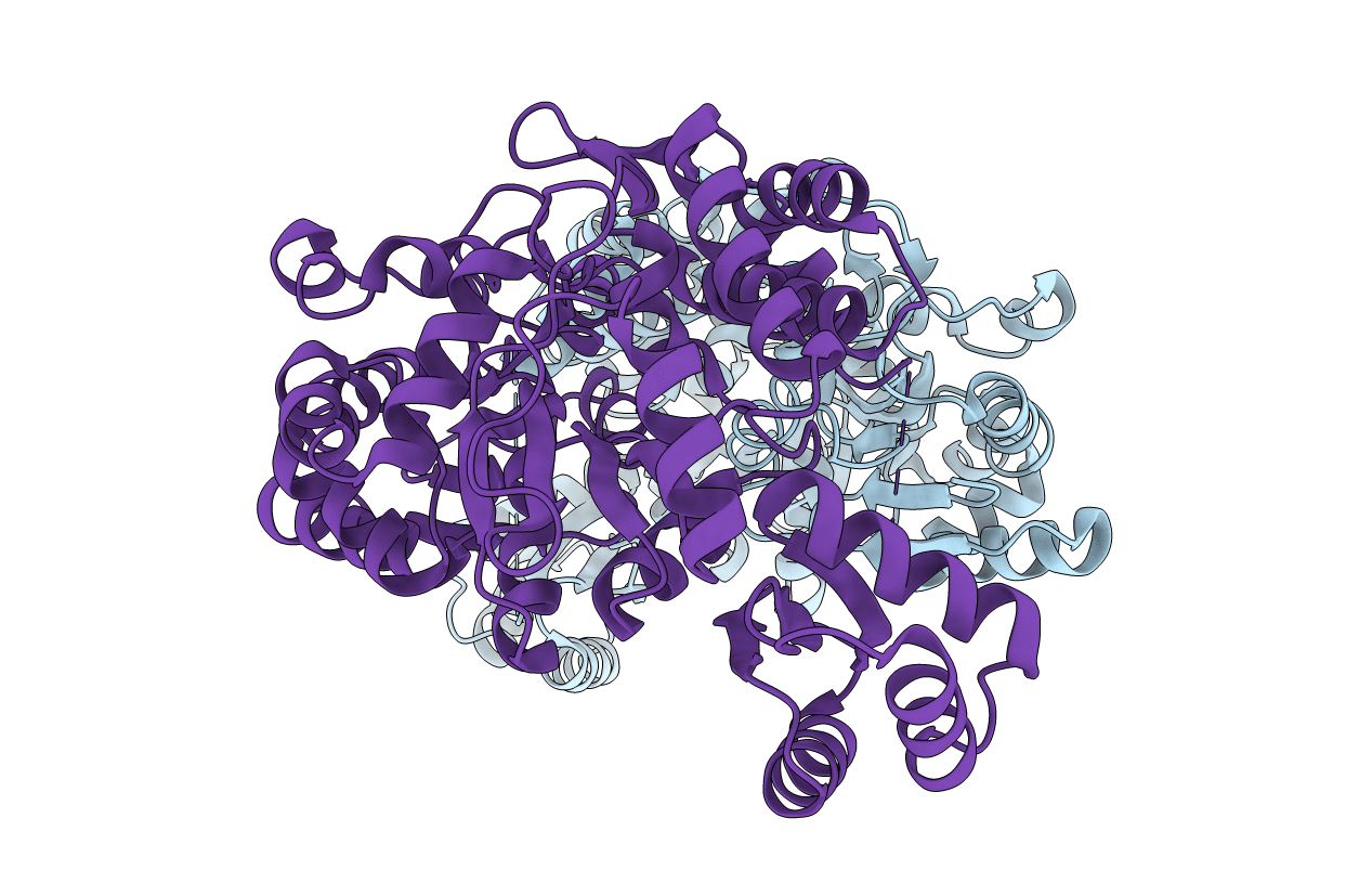 4O2X image
