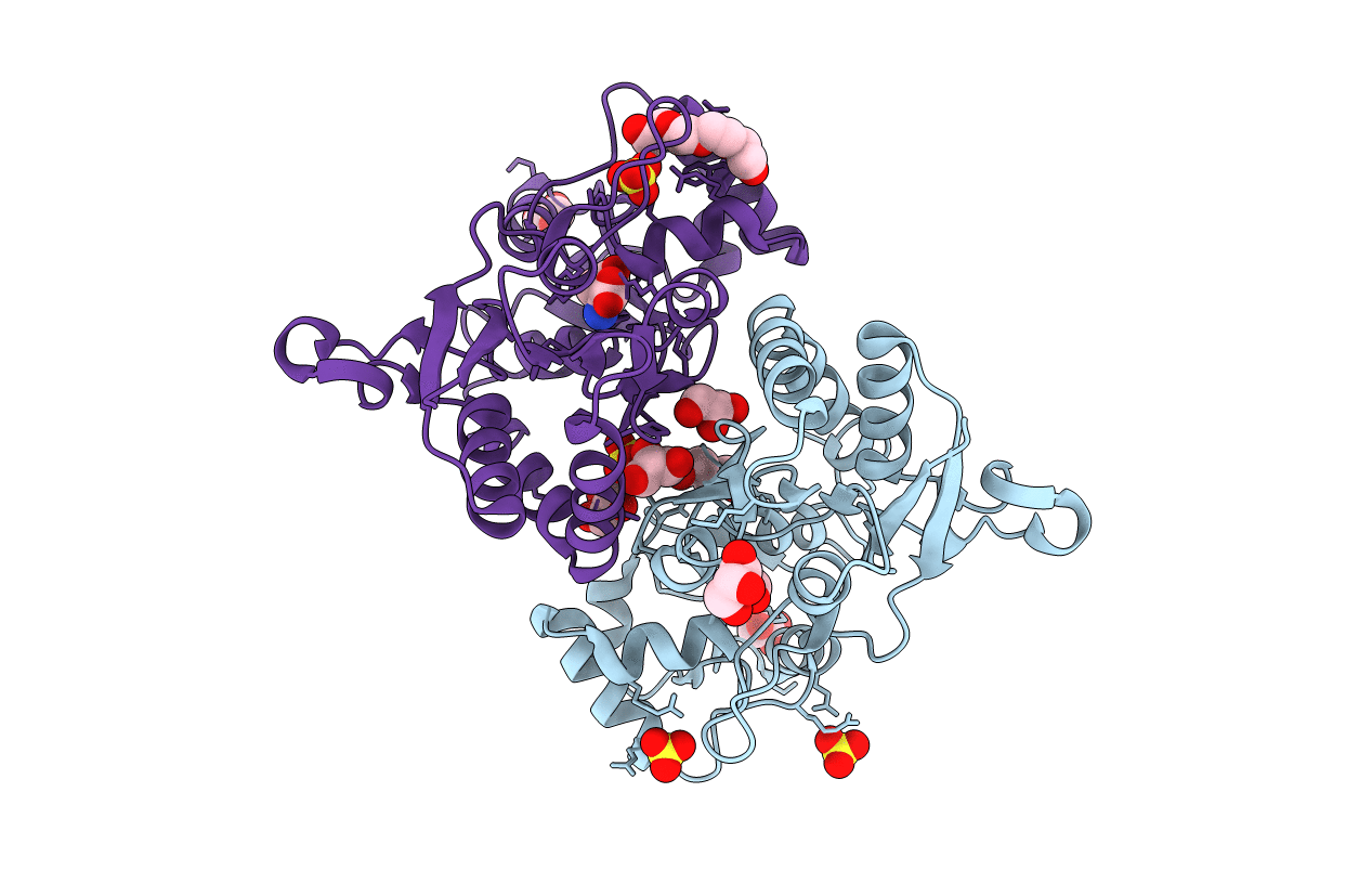 4O3B image