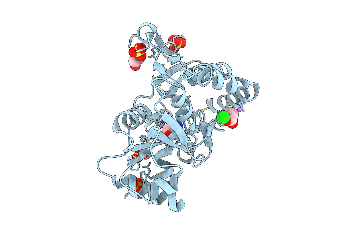 4O3C image