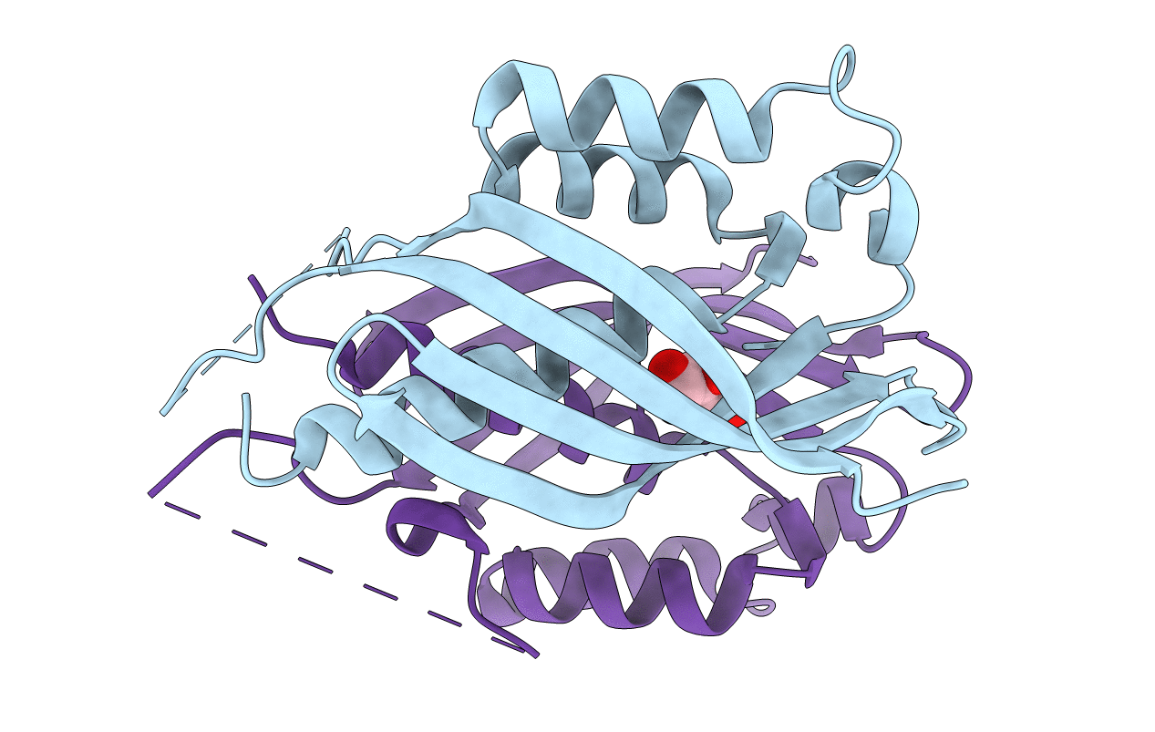 4O3V image