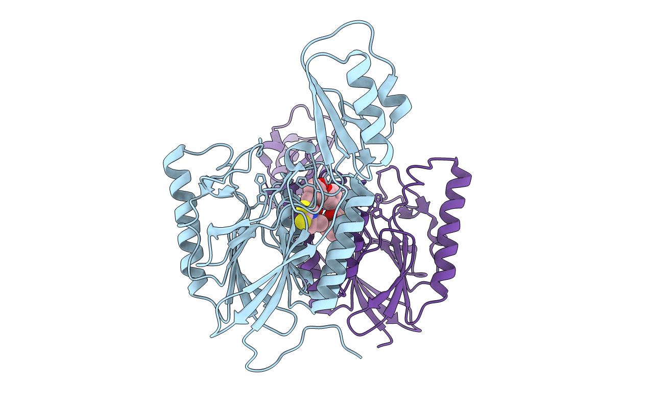 4O43 image