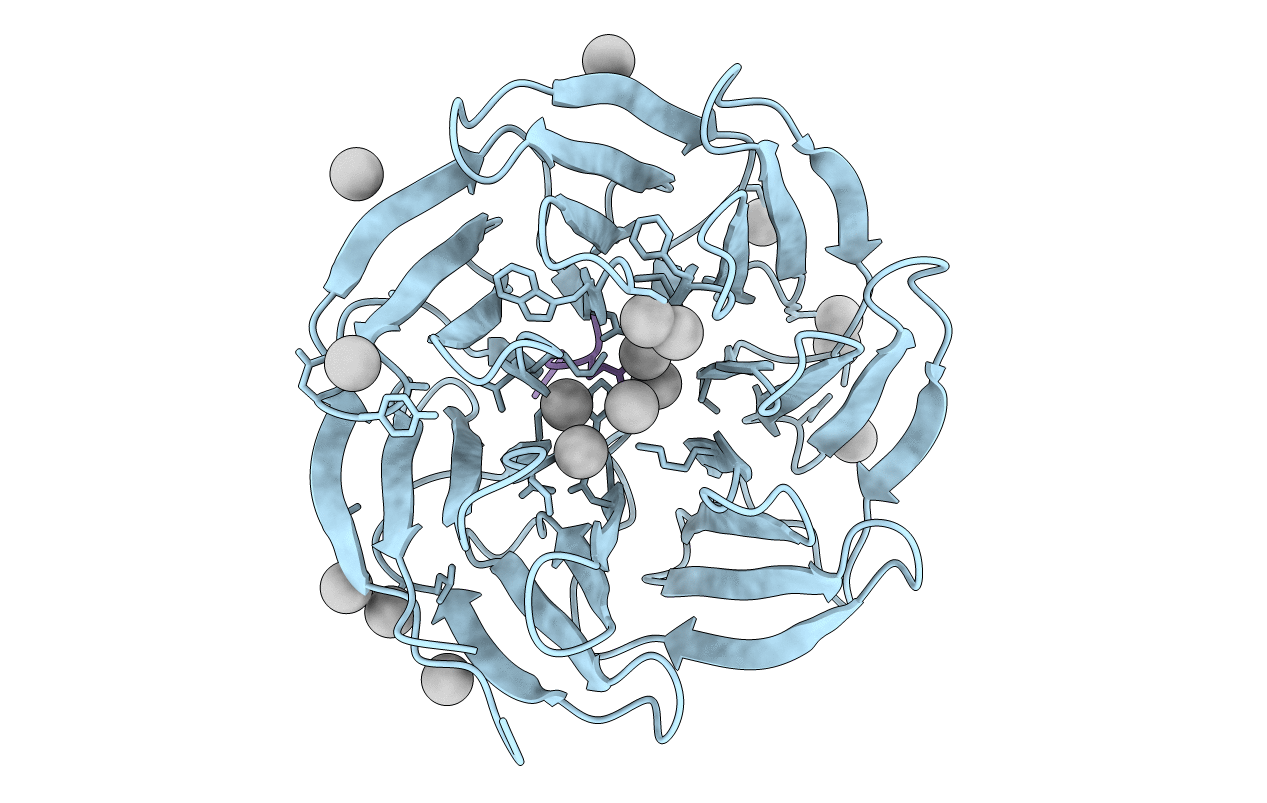 4O45 image