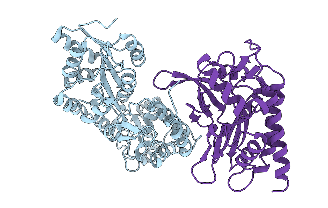 4O4B image