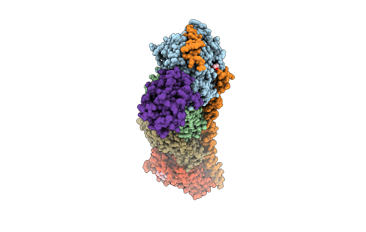 4O4J image